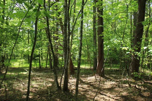 $36,000 | 46 Chatuge Cove Lane, Hayesville, NC 28904