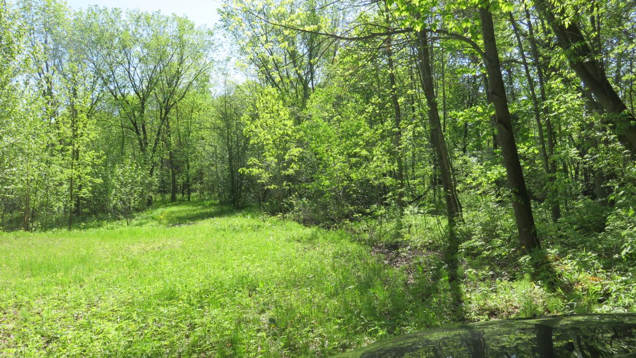 Lot On Townsite Road Presque Isle, WI 54557 - Photo 7 of 36 Gallery Image 7