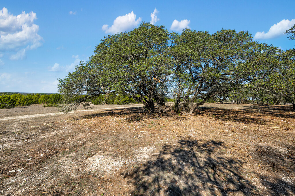 202 Whispering Wind Road Bertram, TX 78605 - Photo 8 of 11 a view of a yard with a tree