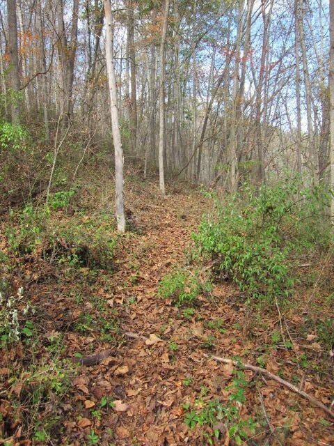 Tbd Spring Creek Station Road Renick, WV 24966 - Photo 28 of 33 Gallery Image 28