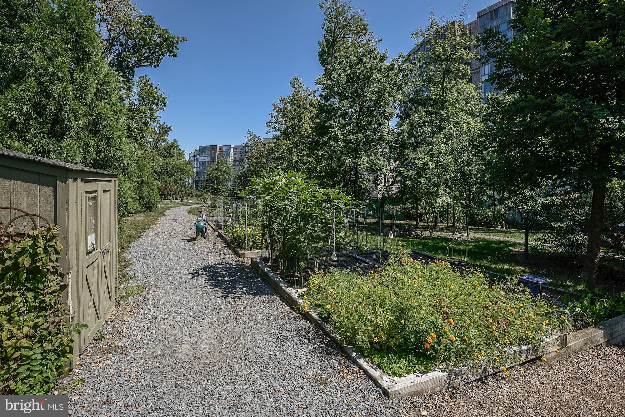19355 Cypress Ridge Terrace, Unit 612 Leesburg, VA 20176 - Photo 53 of 65 a view of a lake with wooden fence