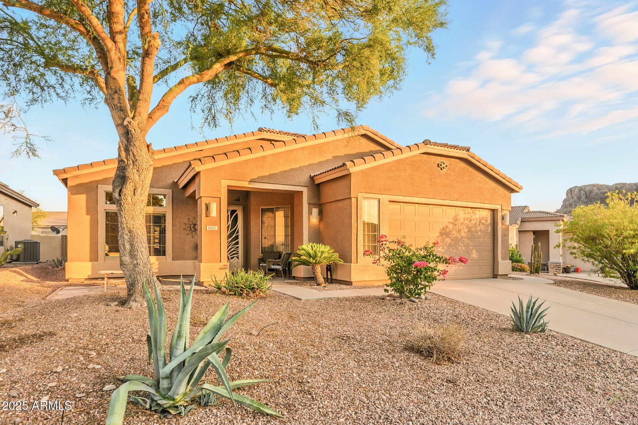4267 South Strong Box Road Gold Canyon, AZ 85118 - Photo 60 of 78 4-web-or-mls-Strong Box-4