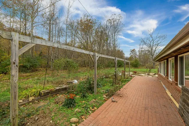 a view of a garden with a pathway