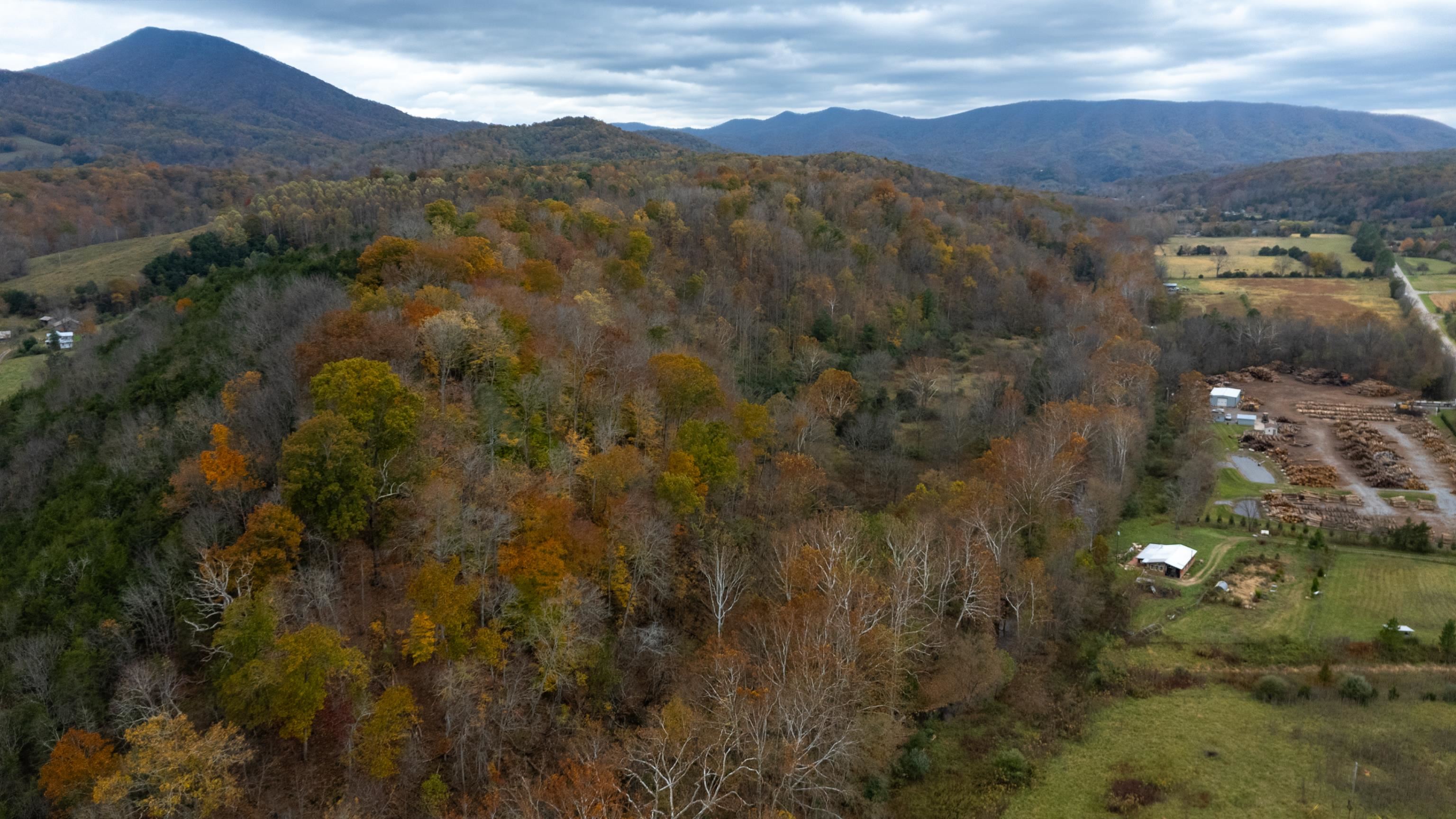 3441 West Midland Trail Lexington, VA 24450 - Photo 42 of 43 a view of city and mountain