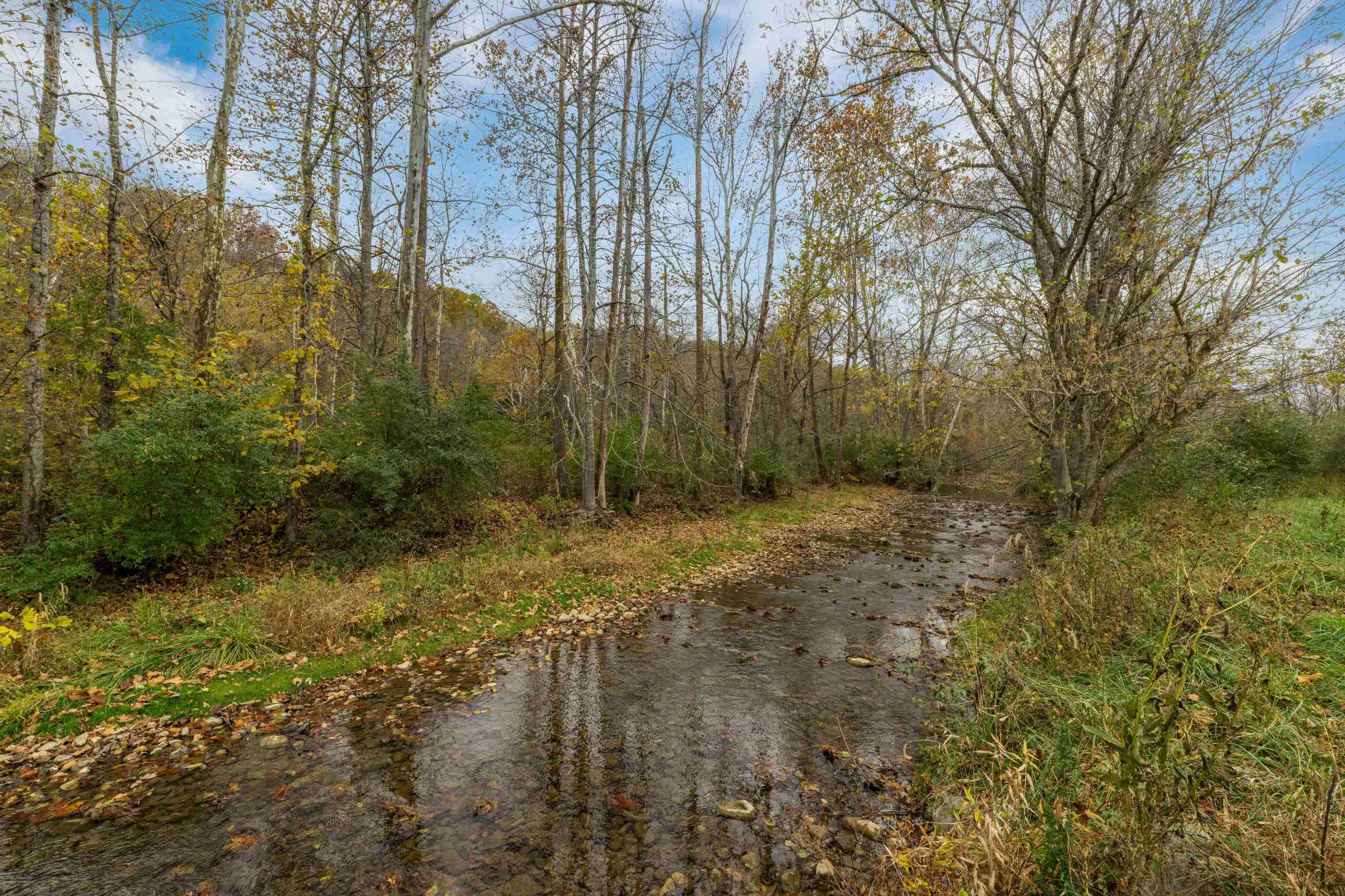 3441 West Midland Trail Lexington, VA 24450 - Photo 8 of 43 a view of a yard with trees