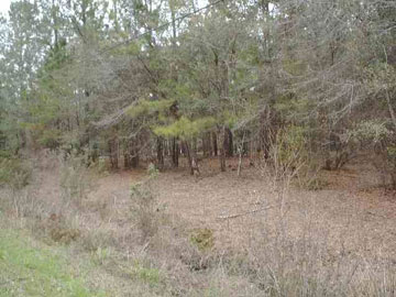 Tafflinger Road, Unit SEEADD Crawfordville, FL 32327 - Photo 1 of 1 Gallery Image 1