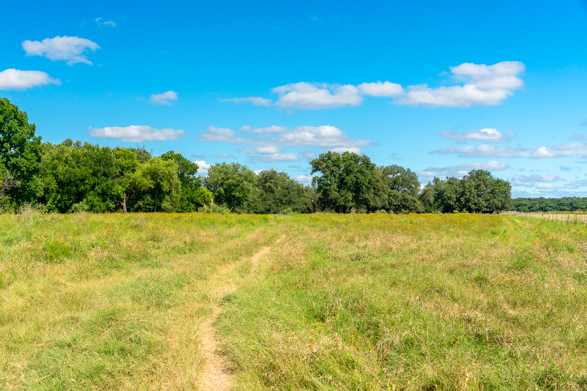 8044 580th Street East Kempner, TX 76539 - Photo 21 of 40 A tranquil meadow with a winding path leads to a dense tree line under a vast blue sky.