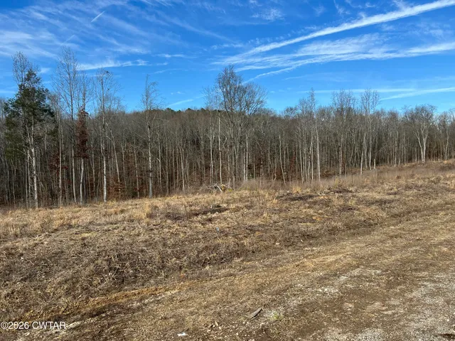 a view of a yard with wooden fence