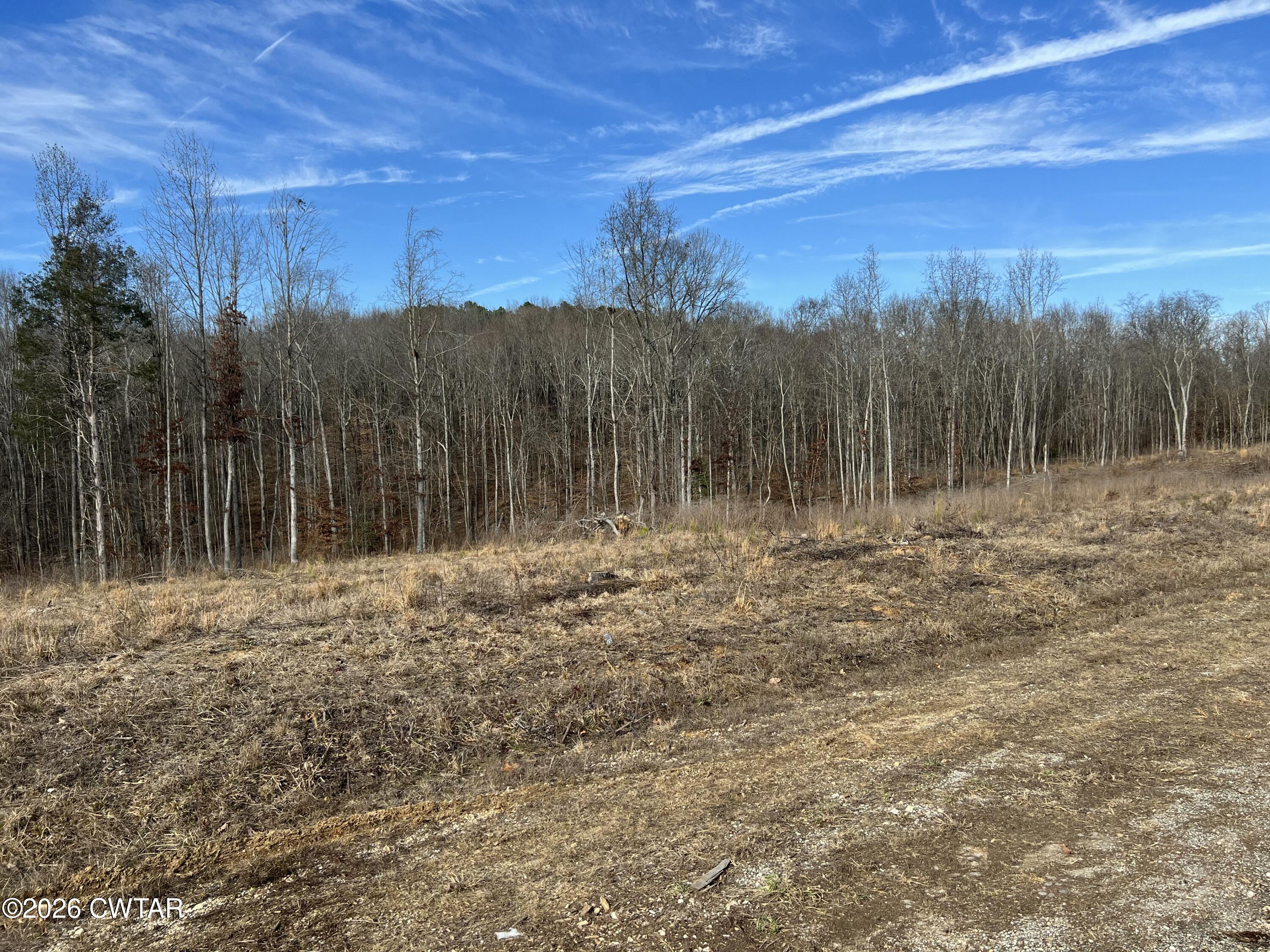 0 Robinson Levee Road McKenzie, TN 38201 - Photo 1 of 5 a view of a yard with wooden fence