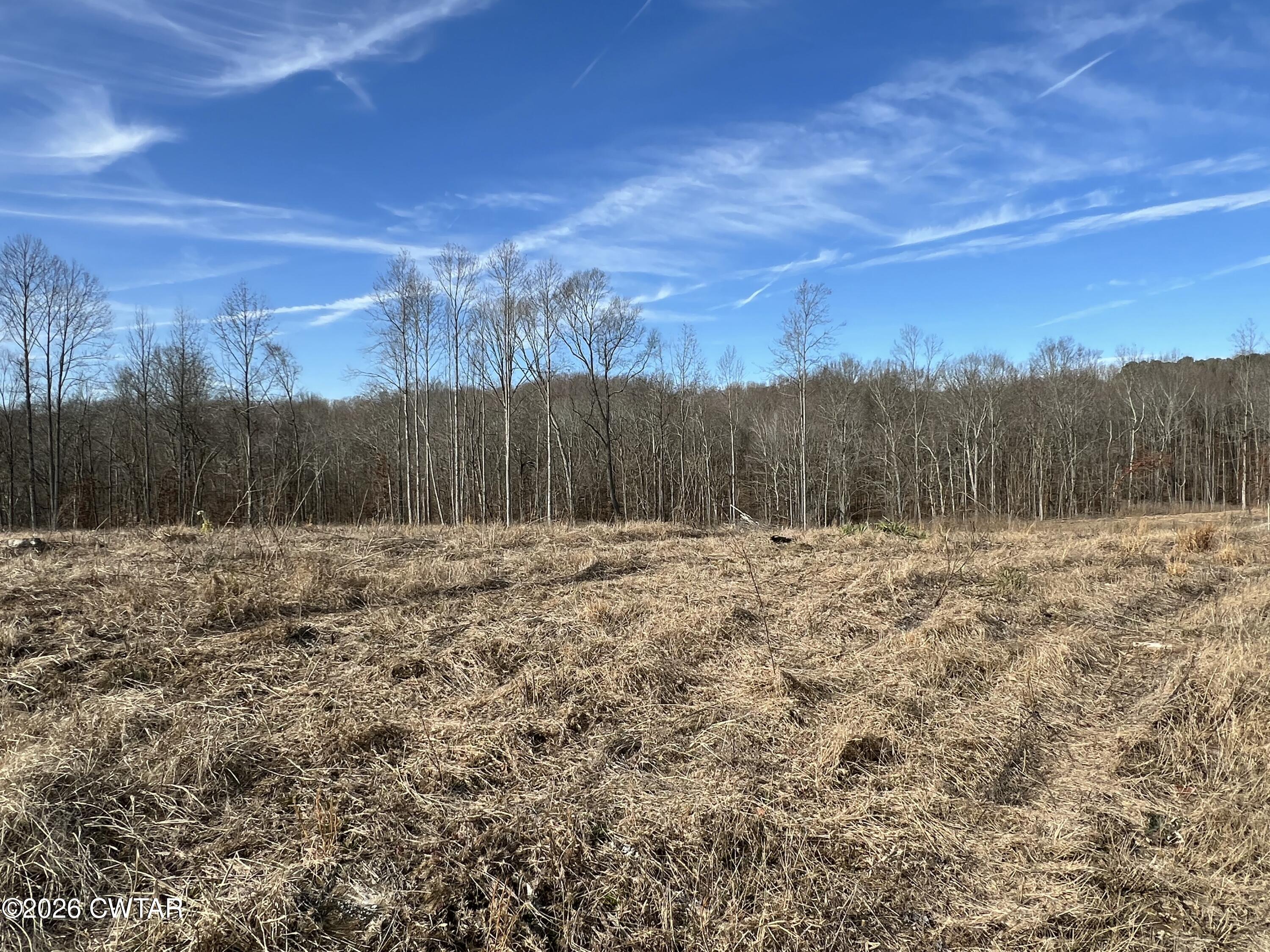 0 Robinson Levee Road McKenzie, TN 38201 - Photo 3 of 5 a view of a backyard