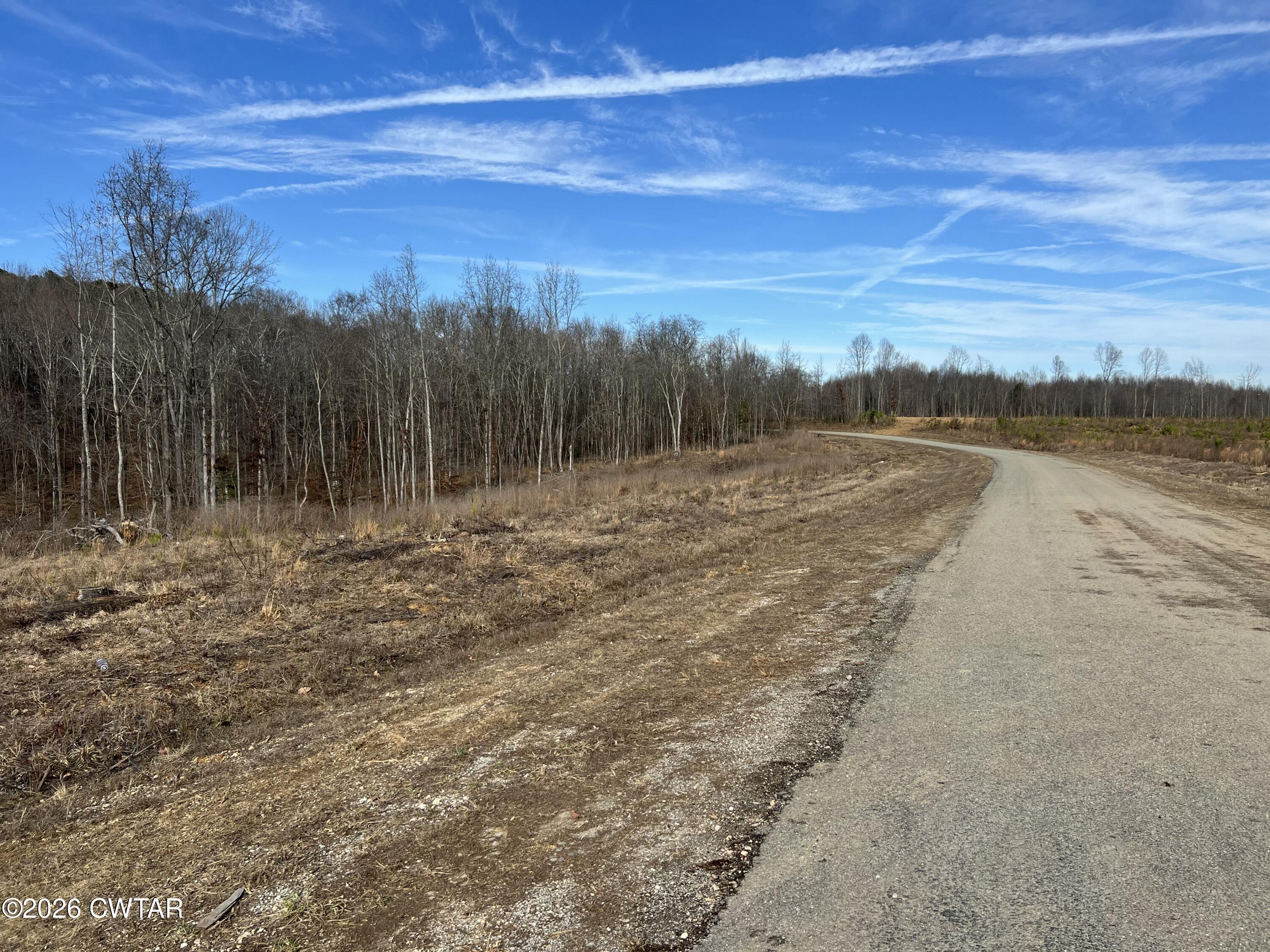 0 Robinson Levee Road McKenzie, TN 38201 - Photo 4 of 5 a view of an ocean beach