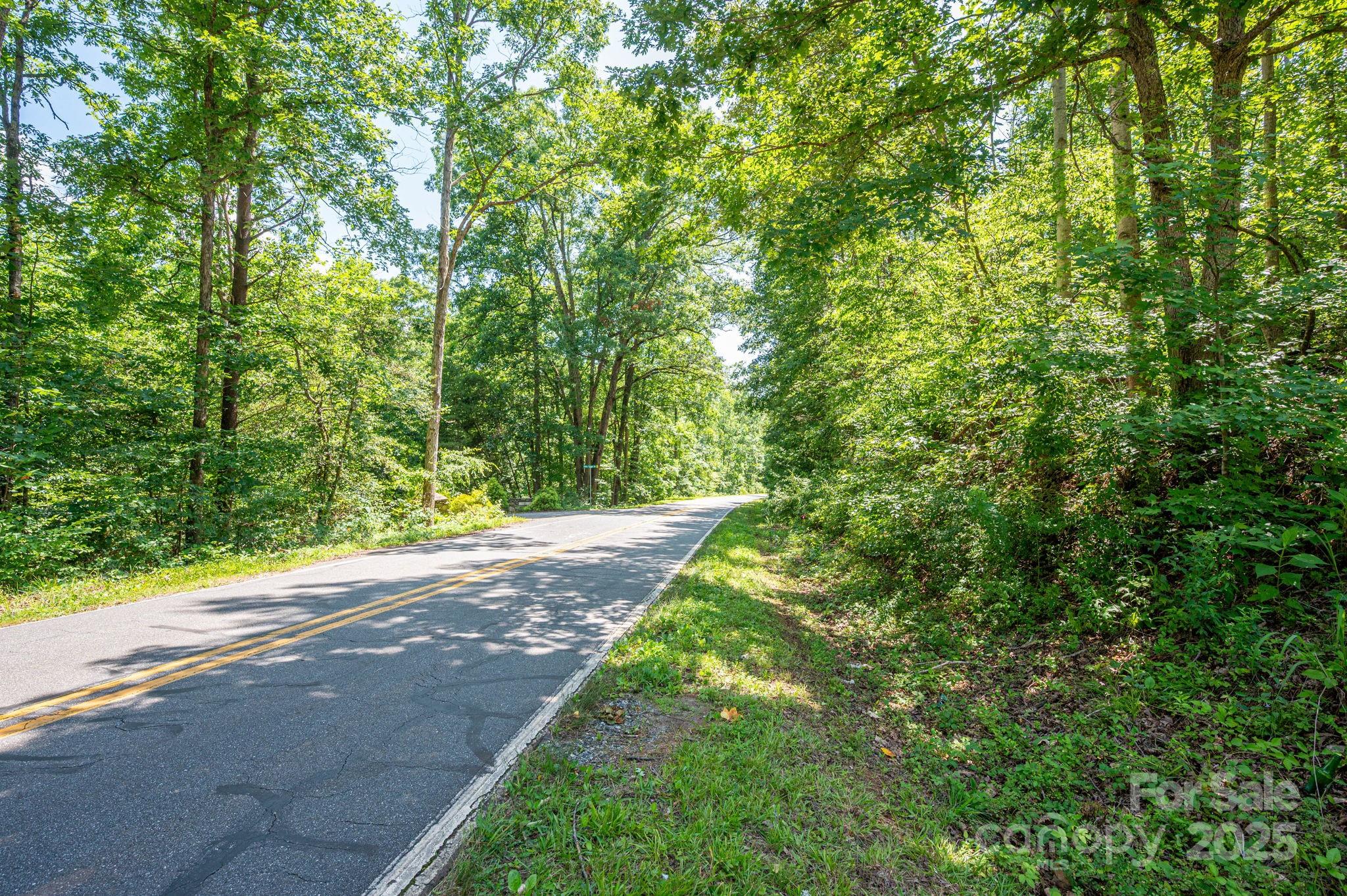 Lot 1 Cleghorn Mill Road Rutherfordton, NC 28139 - Photo 11 of 24 a view of a yard with plants and a trees