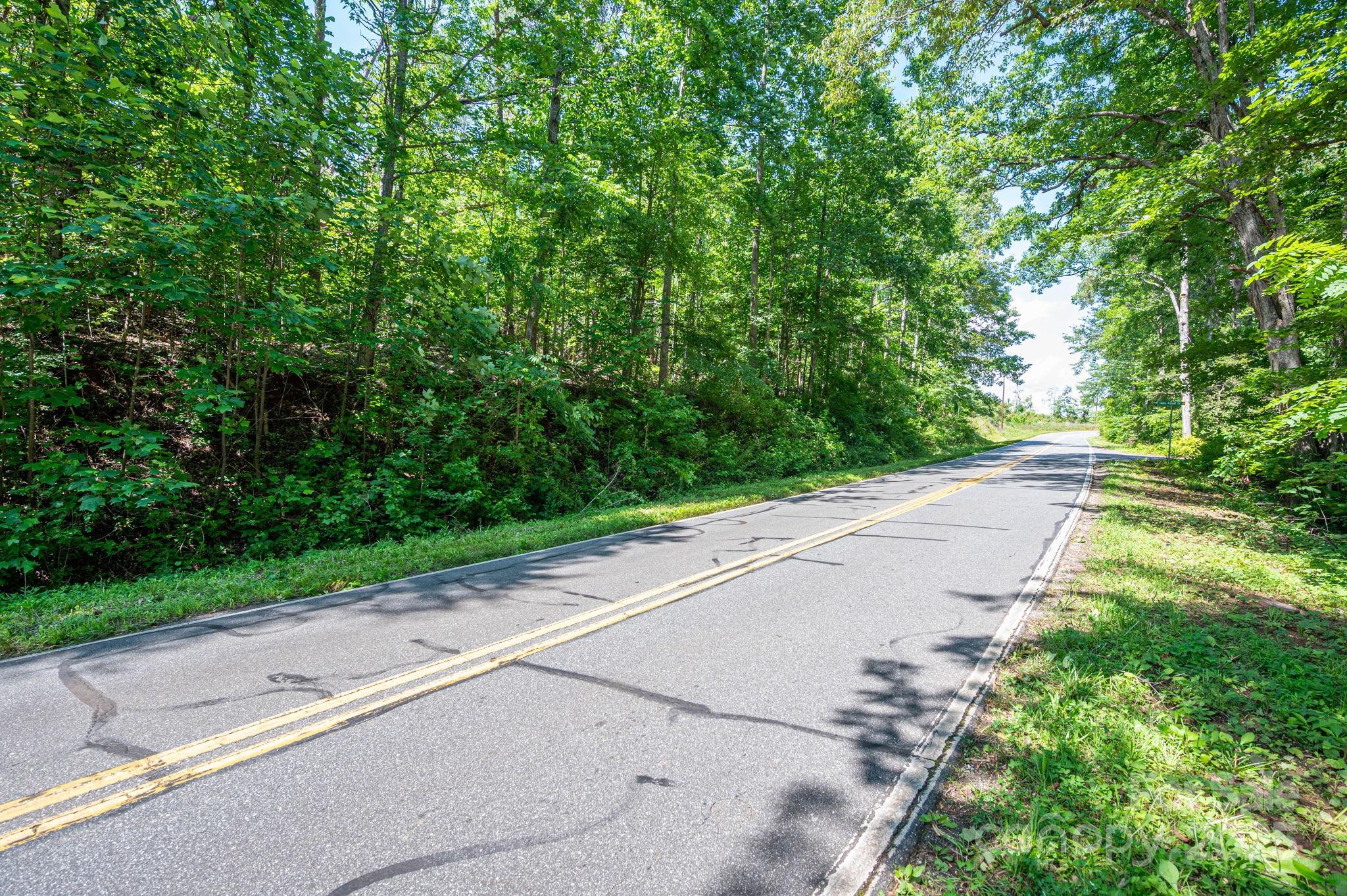 Lot 1 Cleghorn Mill Road Rutherfordton, NC 28139 - Photo 12 of 24 a view of a road from a garden