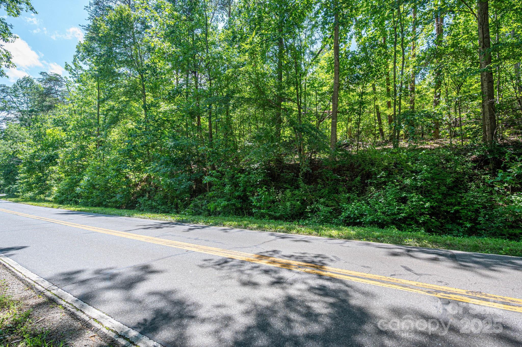 Lot 1 Cleghorn Mill Road Rutherfordton, NC 28139 - Photo 2 of 24 a view of a backyard of a house