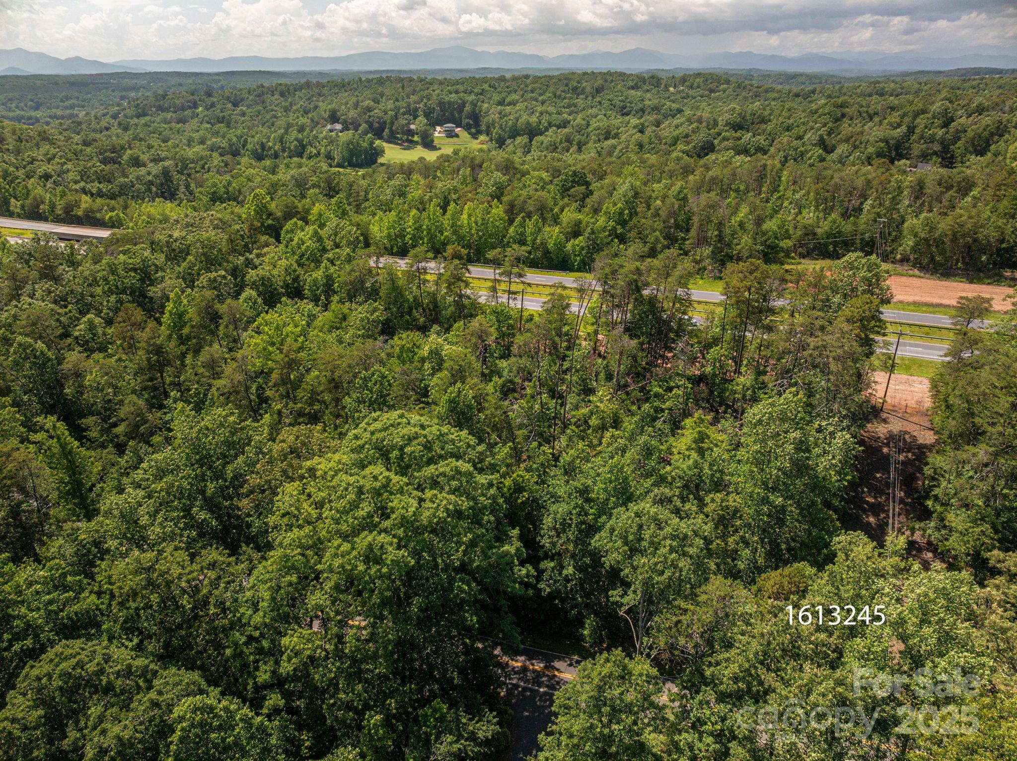 Lot 1 Cleghorn Mill Road Rutherfordton, NC 28139 - Photo 3 of 24 an aerial view of residential houses with outdoor space and trees