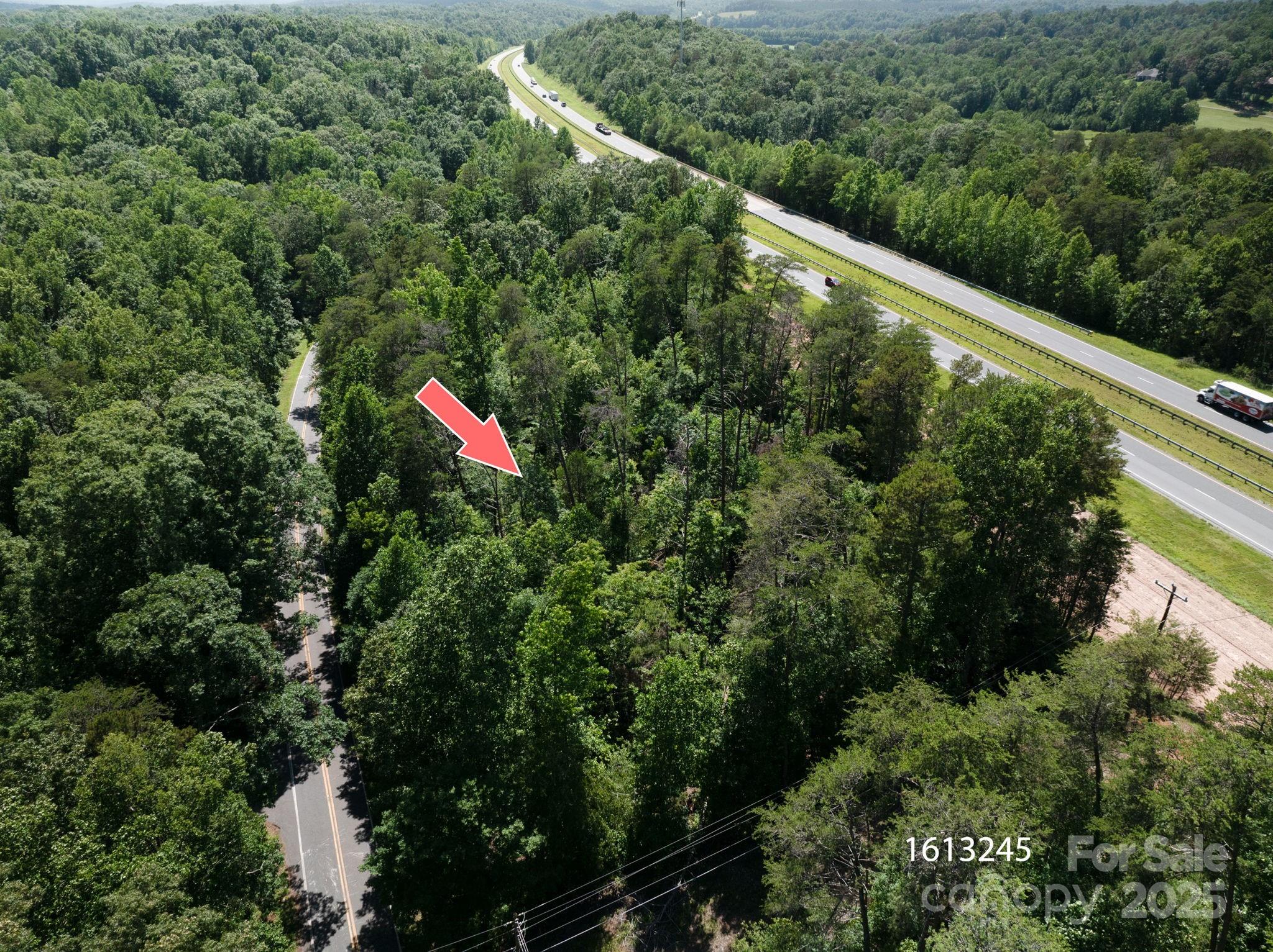 Lot 1 Cleghorn Mill Road Rutherfordton, NC 28139 - Photo 4 of 24 an aerial view of a house with a yard and greenery
