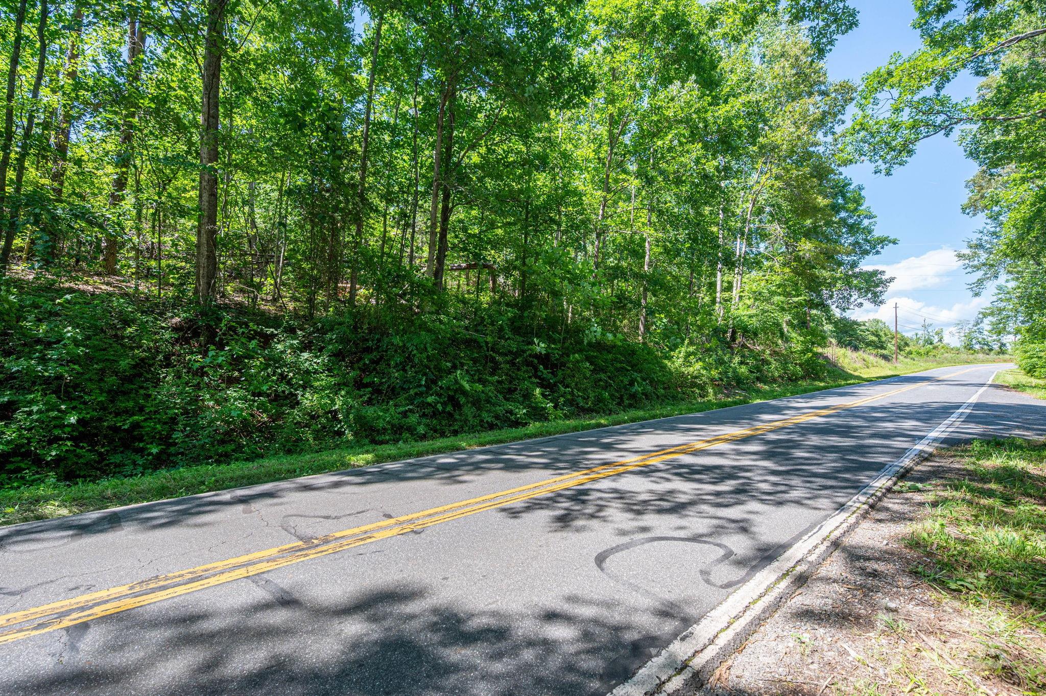 Lot 1 Cleghorn Mill Road Rutherfordton, NC 28139 - Photo 9 of 24 a view of a street with a yard