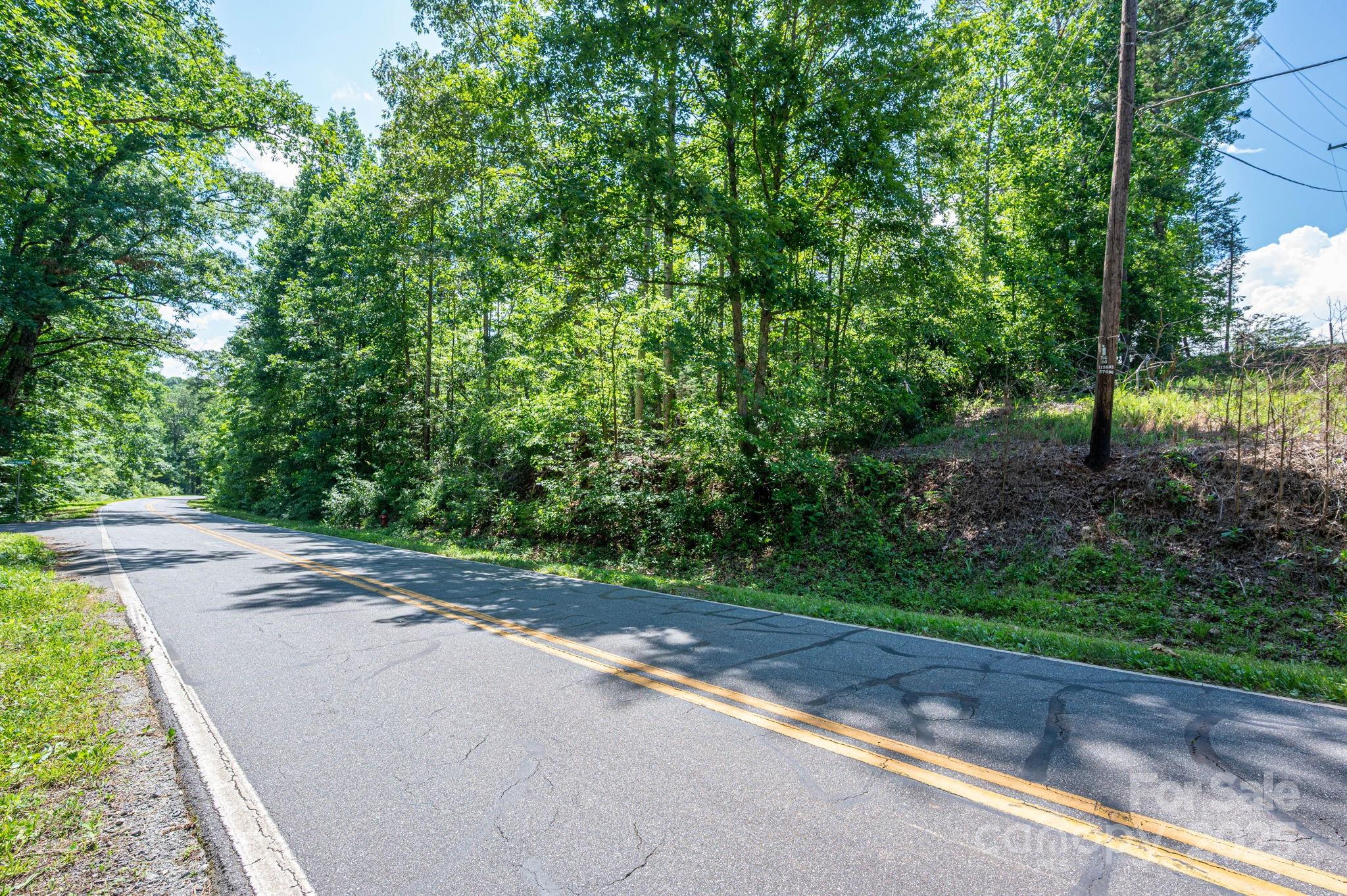 Lot 1 Cleghorn Mill Road Rutherfordton, NC 28139 - Photo 10 of 24 a view of a street with a yard and a large trees