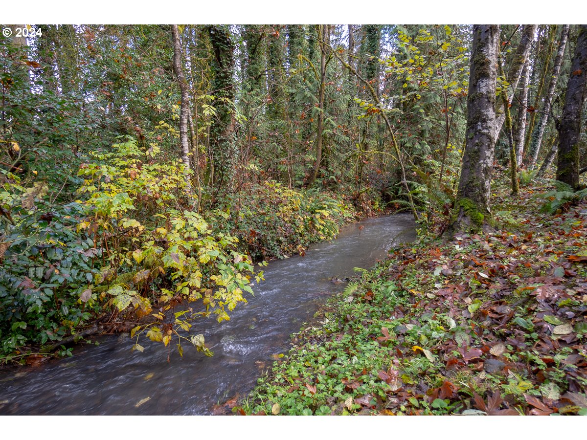 54638 Reid Road Scappoose, OR 97056 - Photo 41 of 48 Gallery Image 41
