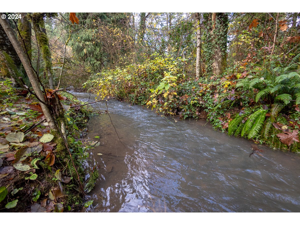 54638 Reid Road Scappoose, OR 97056 - Photo 44 of 48 Gallery Image 44