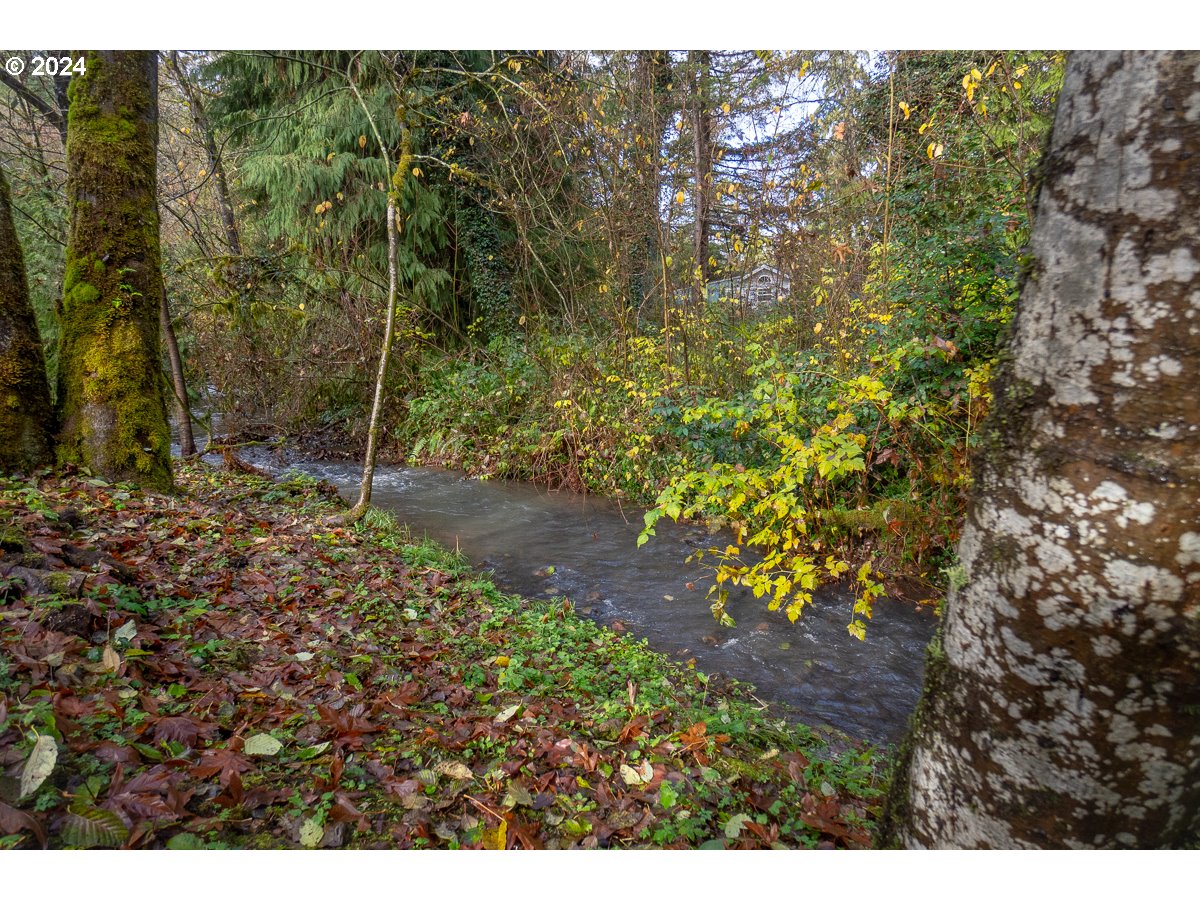 54638 Reid Road Scappoose, OR 97056 - Photo 46 of 48 Gallery Image 46