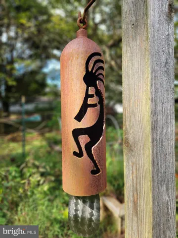 a view of a tree in a yard