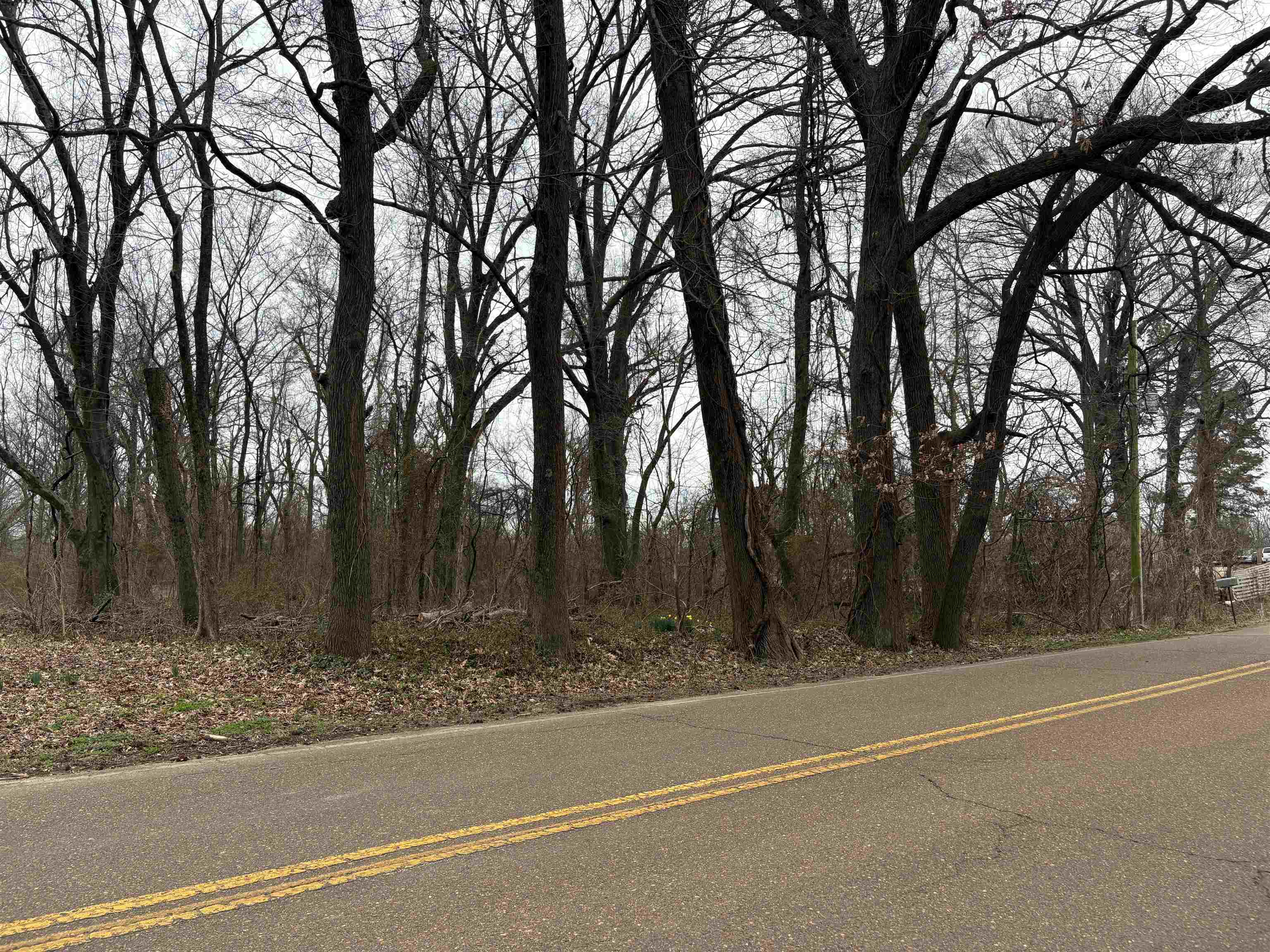 5918 Millington Road Millington, TN 38053 - Photo 2 of 9 a view of a yard with large trees