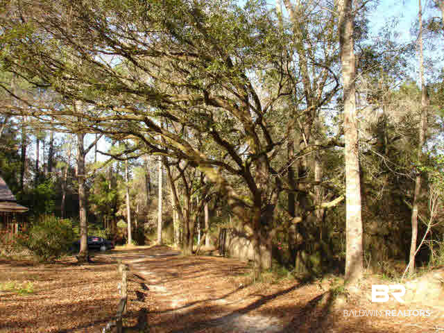 10680 Cub Lane Foley, AL 36535 - Photo 1 of 1