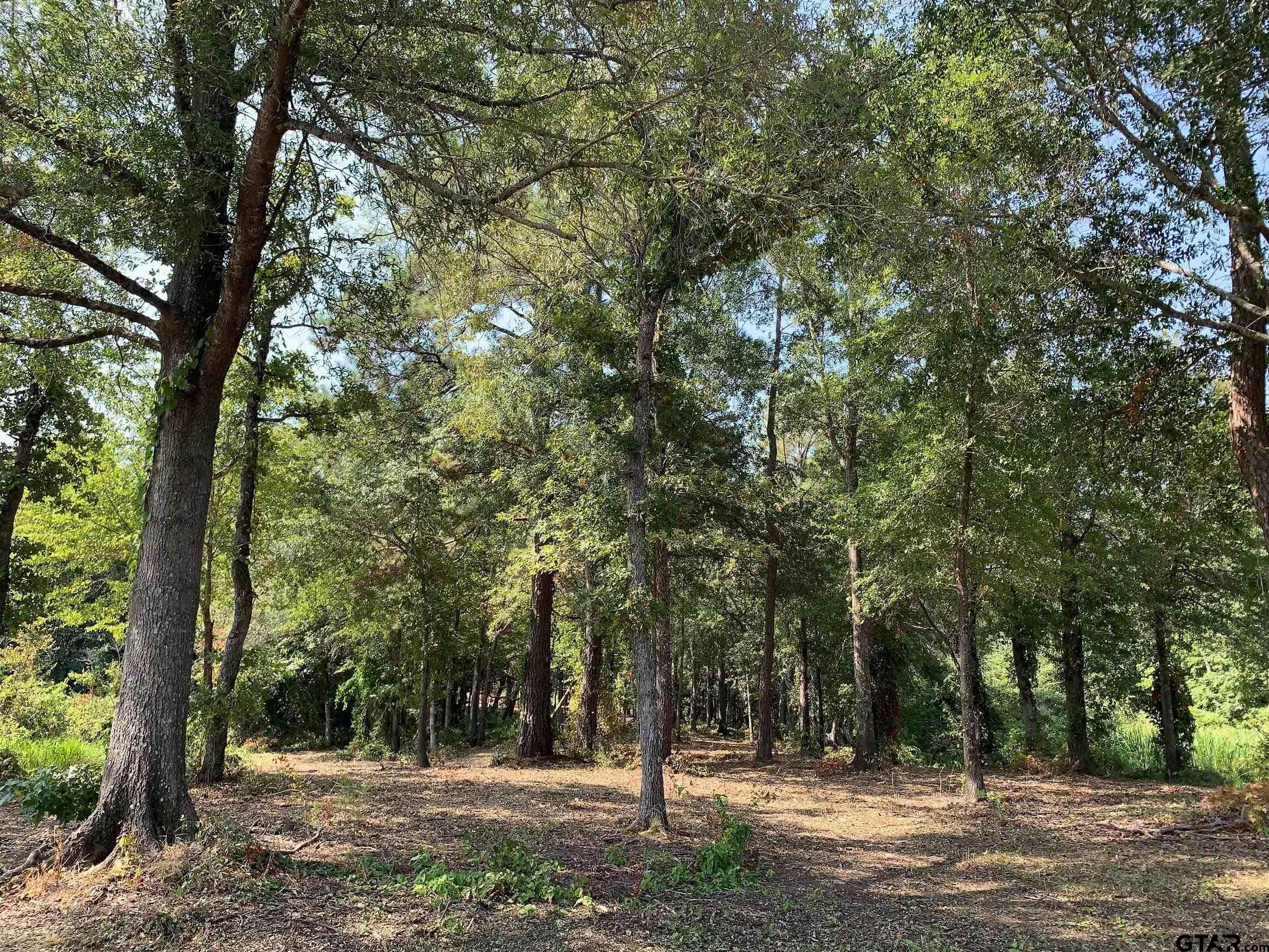 3196 Shadow Pine Drive Larue, TX 75770 - Photo 6 of 15