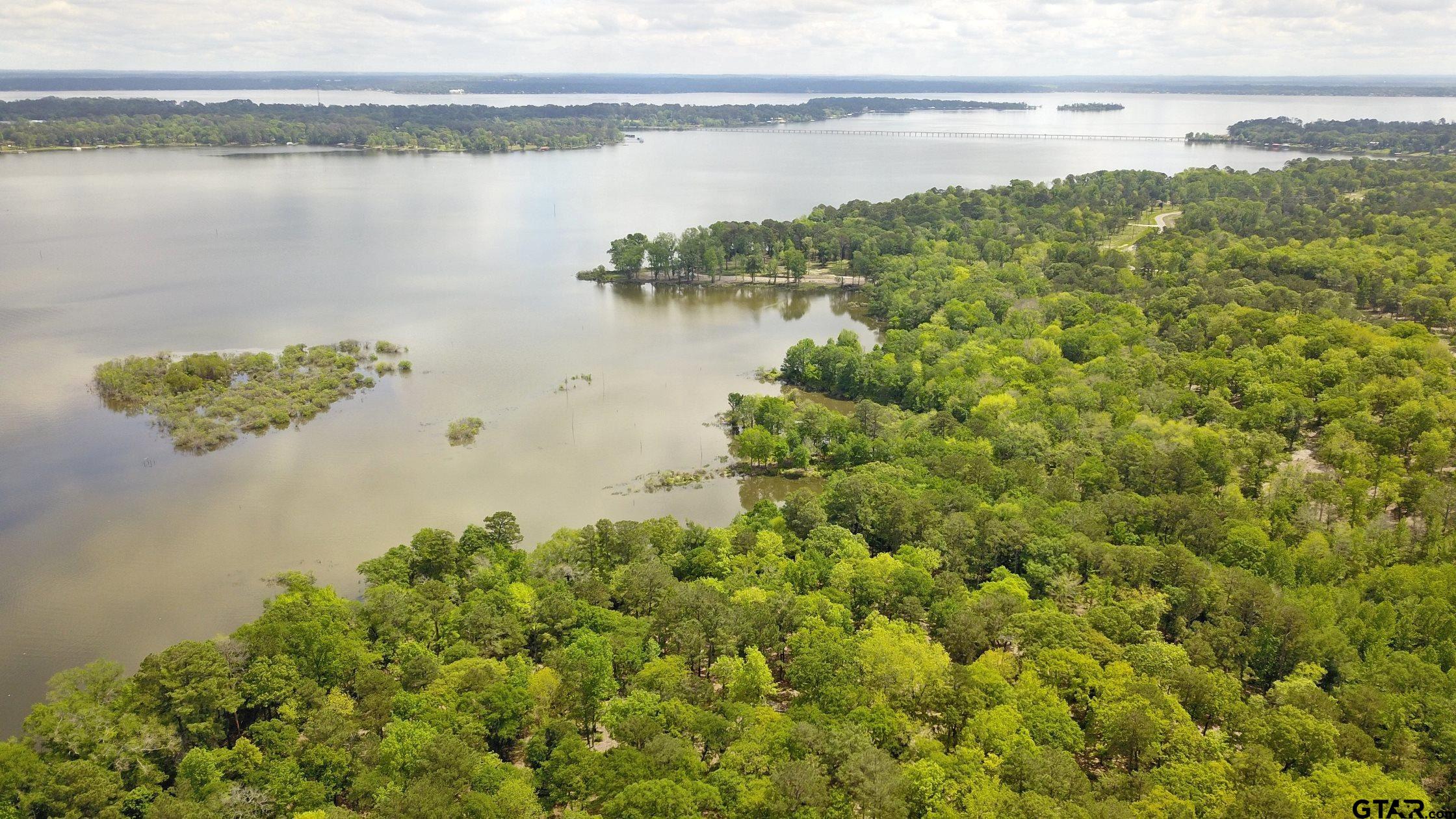 3196 Shadow Pine Drive Larue, TX 75770 - Photo 9 of 15