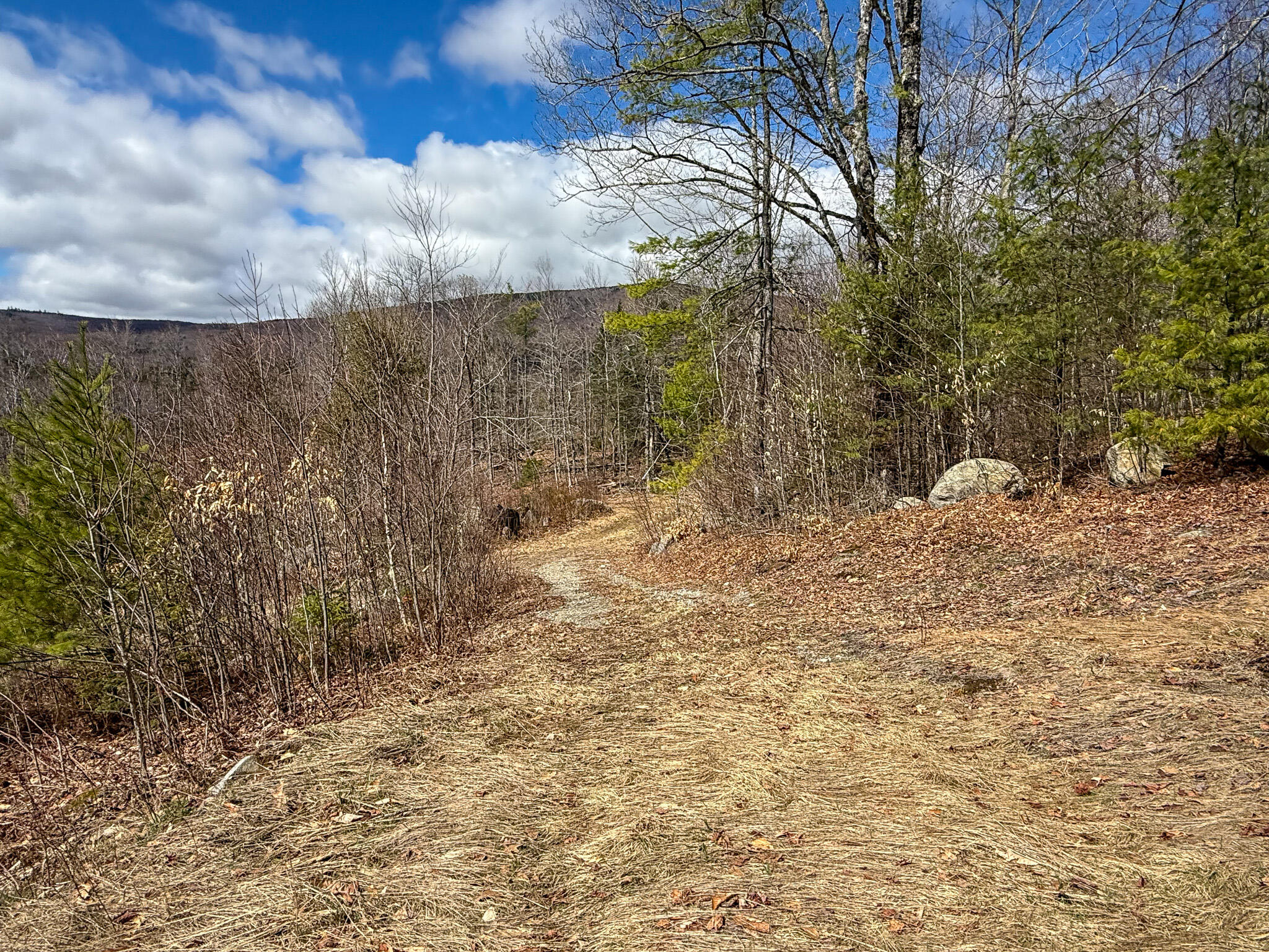 Lot 39 Sawyer Notch Road Andover, ME 04216 - Photo 6 of 8 IMG_9467