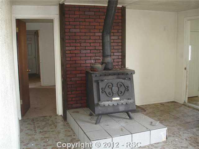 wood burning fireplace