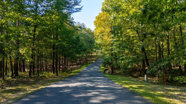 $195,000 | 0 Rushing Water Trail, Unit LOT D12, Rising Fawn, GA 30738