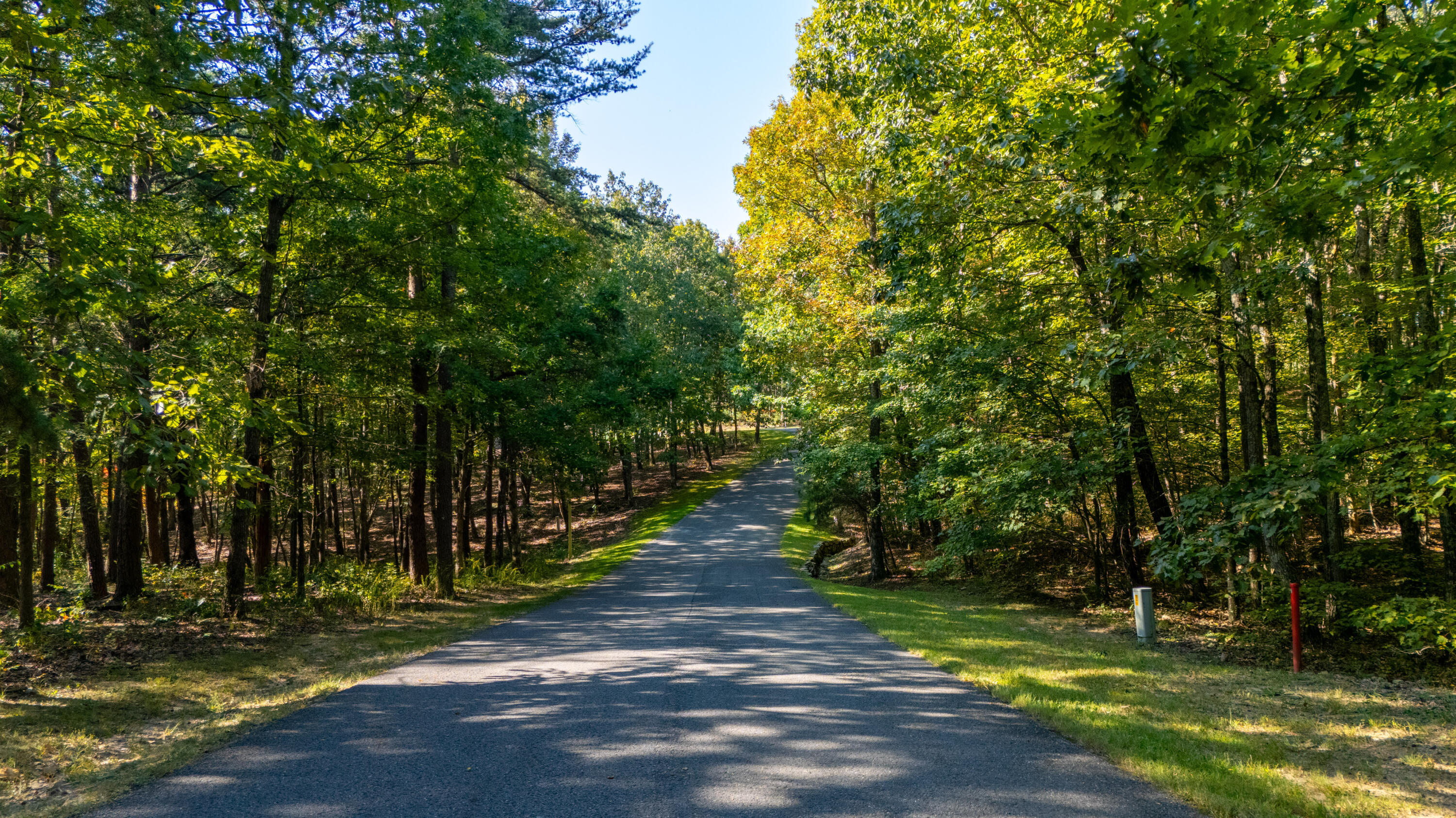 0 Rushing Water Trail, Unit LOT D12 Rising Fawn, GA 30738 - Photo 6 of 25 Streetscape