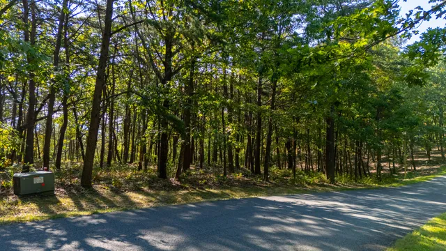 $195,000 | 0 Rushing Water Trail, Unit LOT D12, Rising Fawn, GA 30738