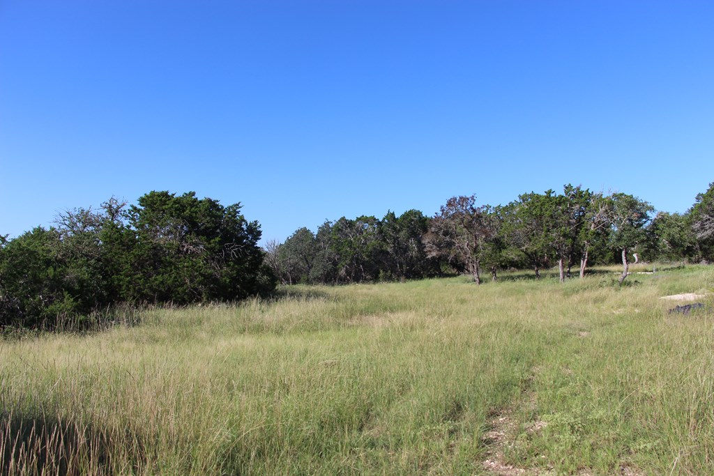 1030 Fairview Road Rocksprings, TX 78880 - Photo 5 of 18