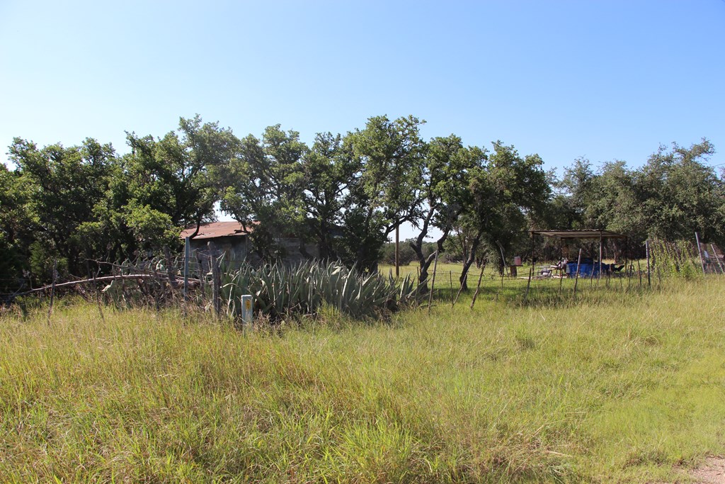 1030 Fairview Road Rocksprings, TX 78880 - Photo 8 of 18