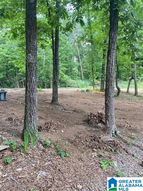 65 Oak Tree Street Cropwell, AL 35054 - Photo 50 of 50