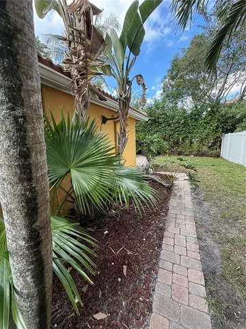 a view of a yard with plants