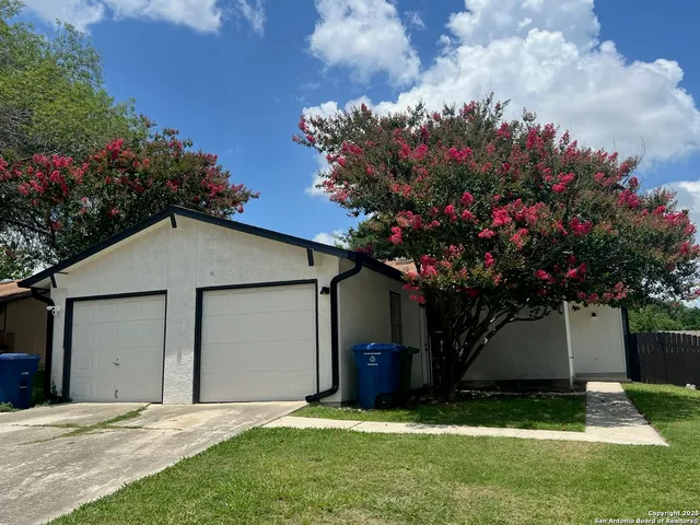 a view of a back yard of the house