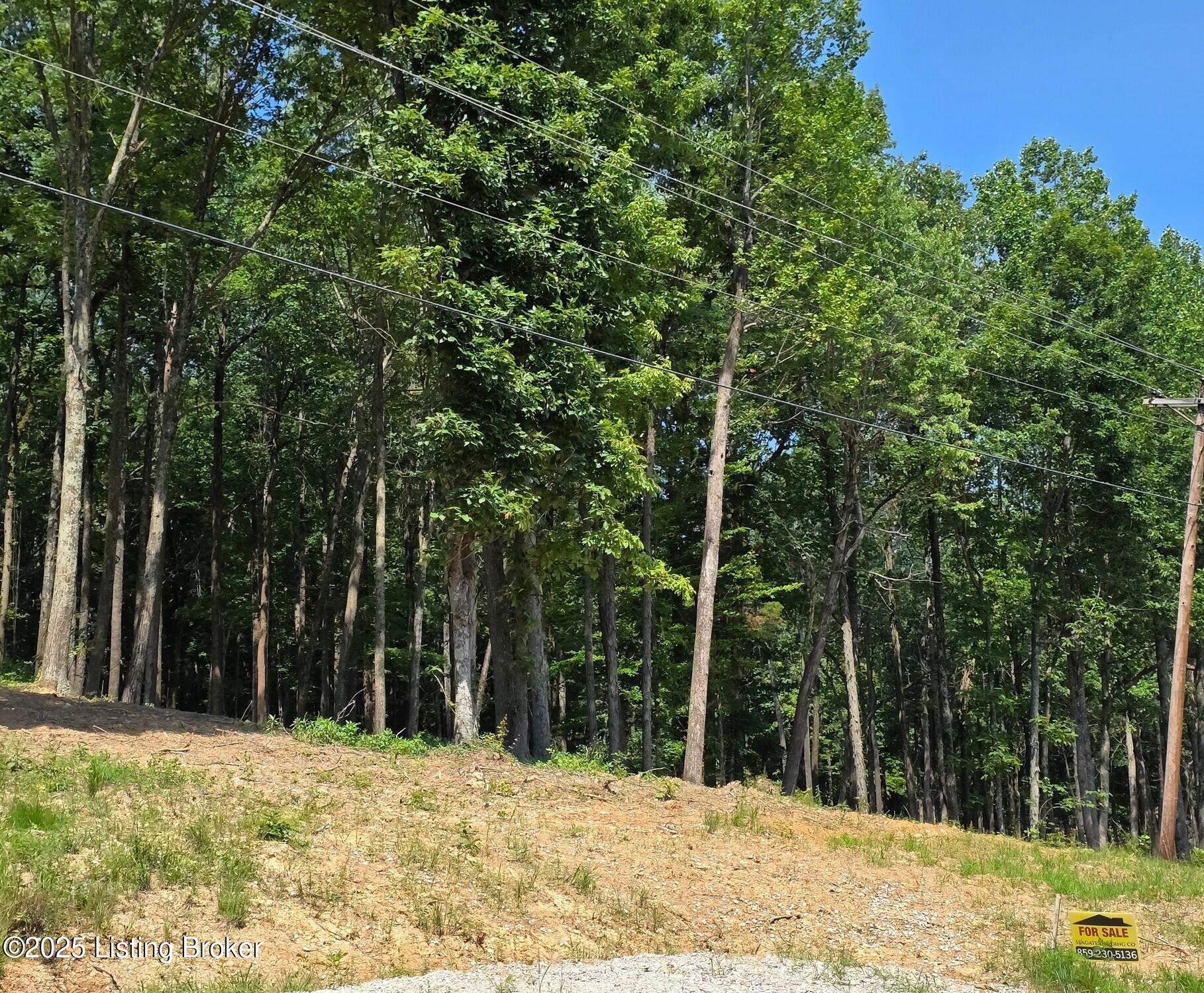 0 Cave Creek Road Falls Of Rough, KY 40119 - Photo 11 of 70 Entire Parcel (8)