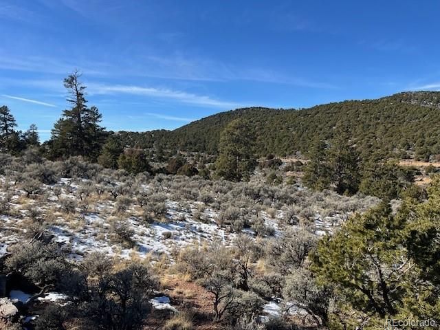Lot 4554 Clausen Road Fort Garland, CO 81133 - Photo 13 of 30 a view of a sky
