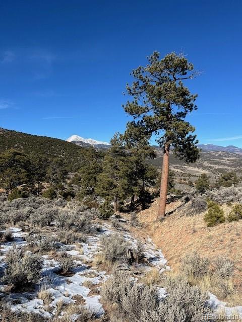 Lot 4554 Clausen Road Fort Garland, CO 81133 - Photo 14 of 30 a view of a covered with snow on the road
