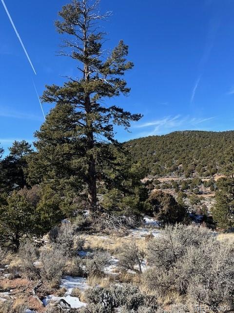 Lot 4554 Clausen Road Fort Garland, CO 81133 - Photo 18 of 30 a view of a dry yard