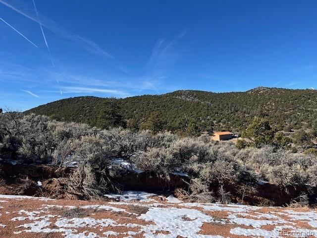 Lot 4554 Clausen Road Fort Garland, CO 81133 - Photo 2 of 30 a view of a yard