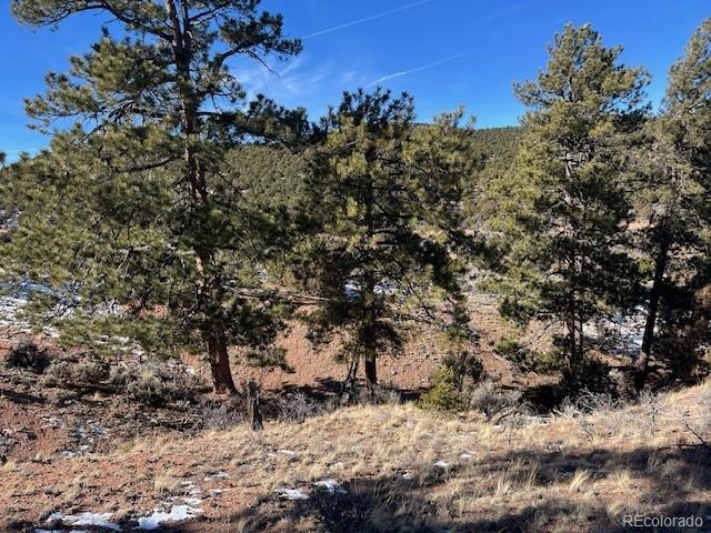 Lot 4554 Clausen Road Fort Garland, CO 81133 - Photo 25 of 30 a view of a tree in a yard