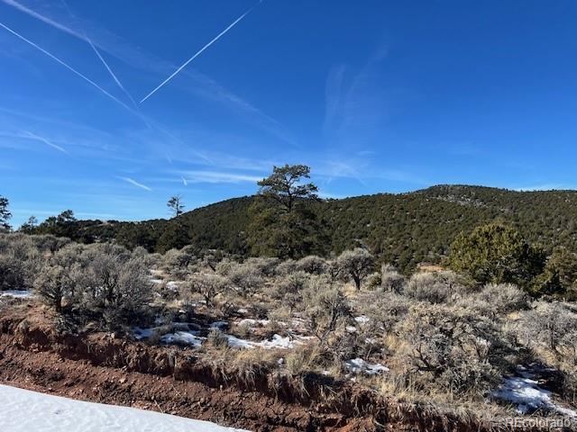 Lot 4554 Clausen Road Fort Garland, CO 81133 - Photo 5 of 30 a view of a sky