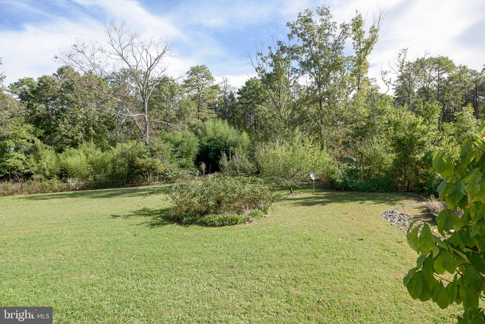 1137 Moss Mill Road Hammonton, NJ 08037 - Photo 42 of 47