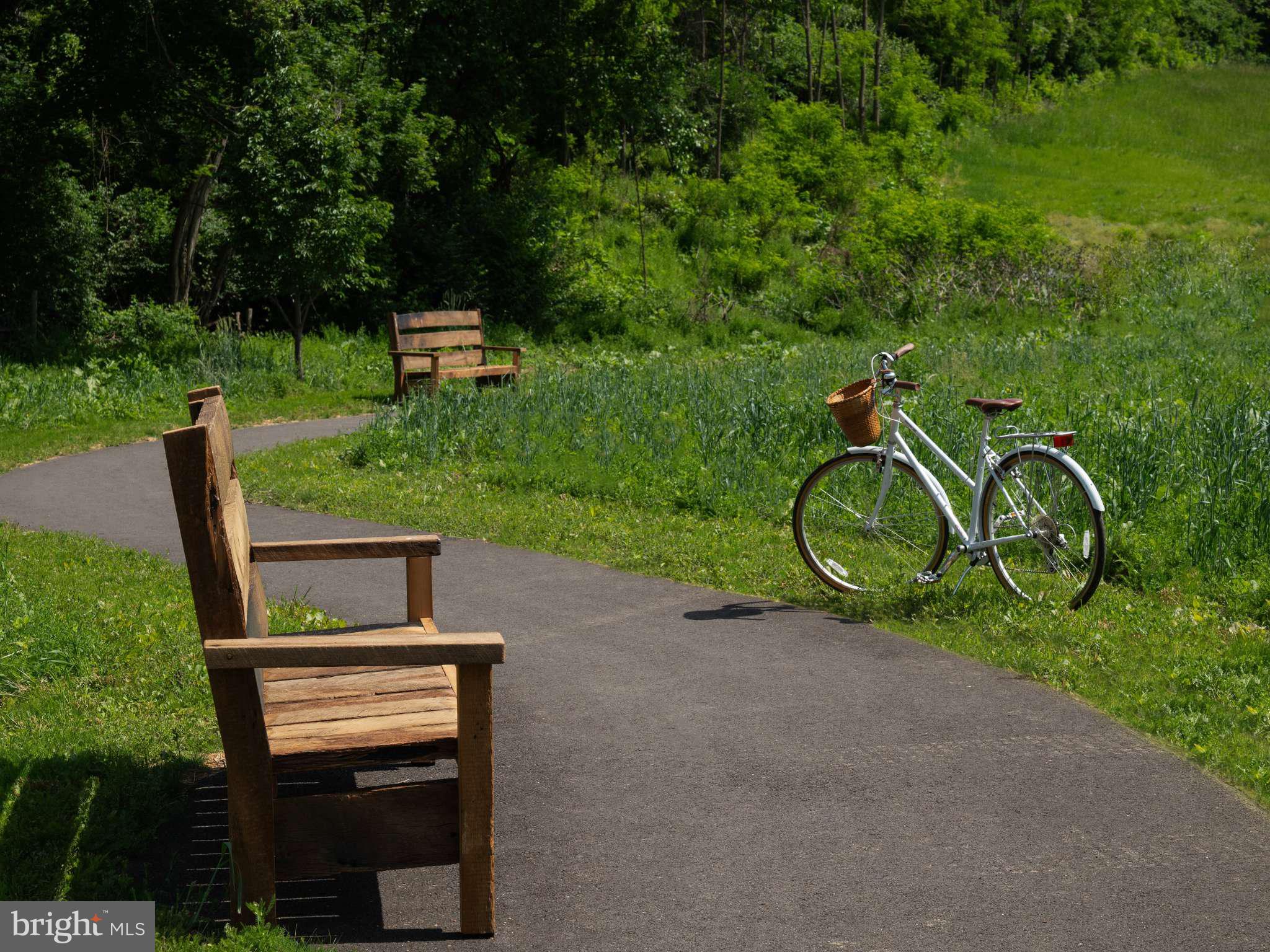 7 Sage Street Carlisle, PA 17015 - Photo 26 of 27 a view of a bench in a garden