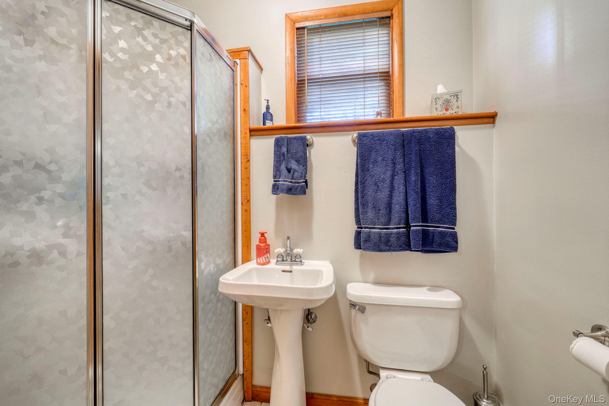 4 Irene Court Fishkill, NY 12524 - Photo 28 of 46 Lower level full Bathroom featuring a shower stall and toilet